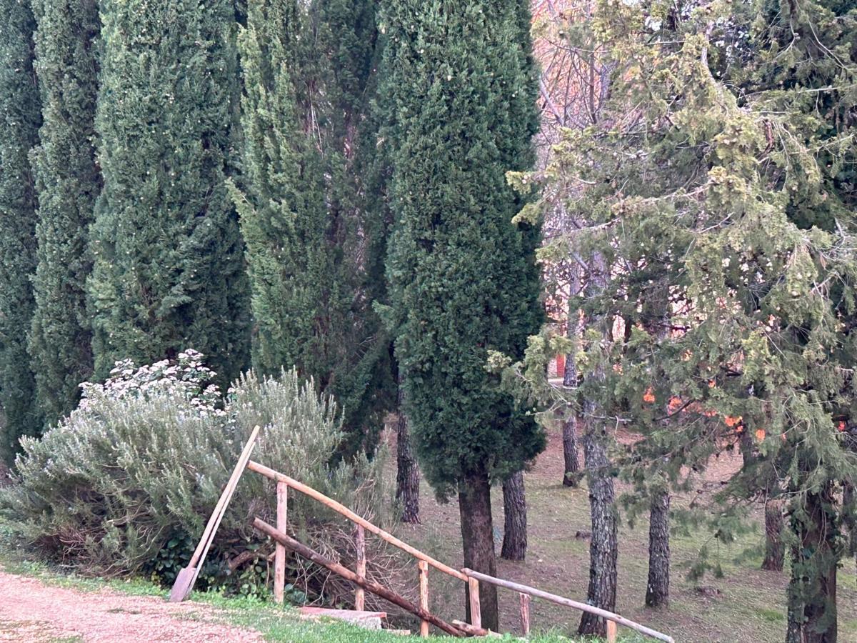 Podere Ceppeti 13 Gabellino Extérieur photo